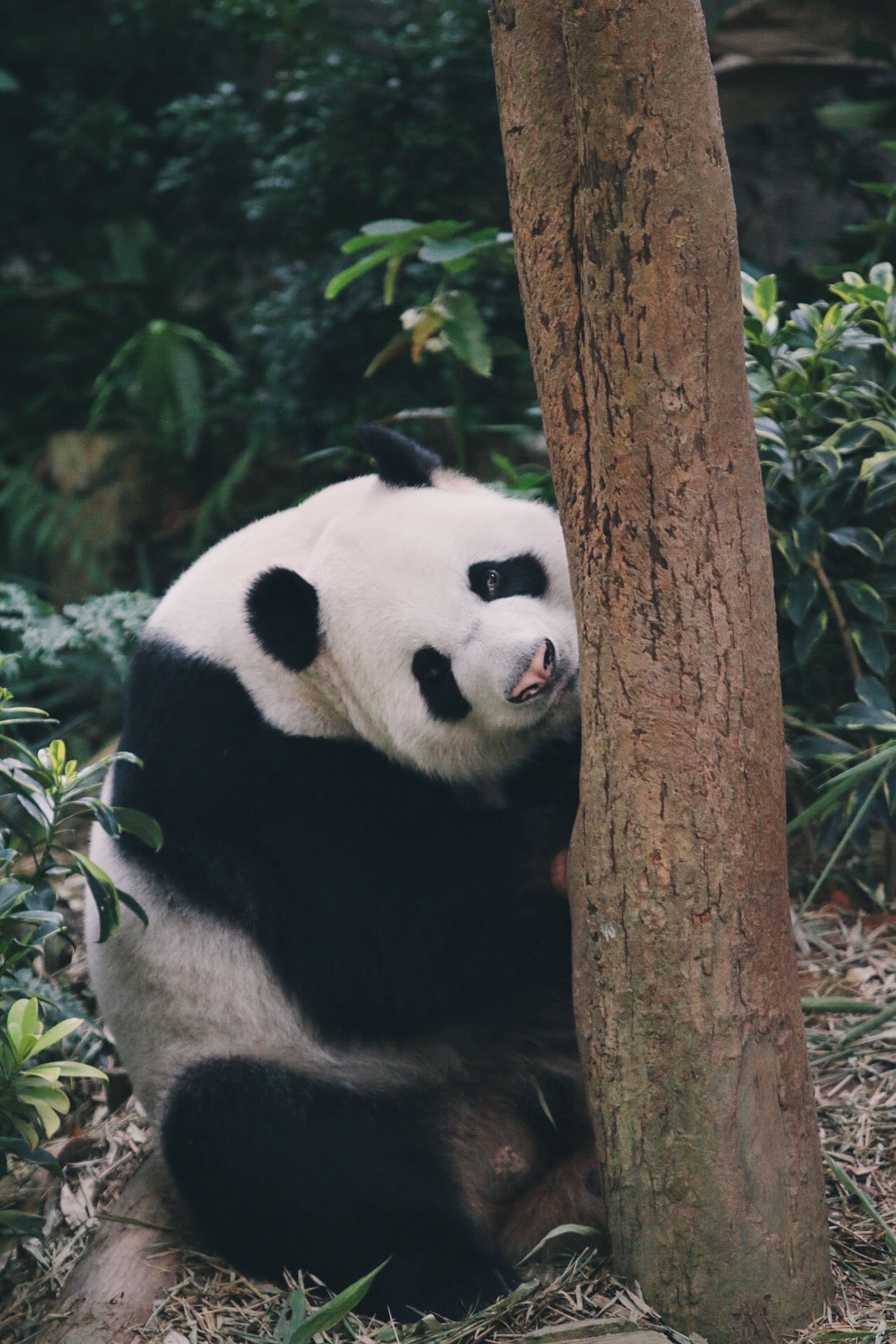 Processed with VSCOcam with e5 preset