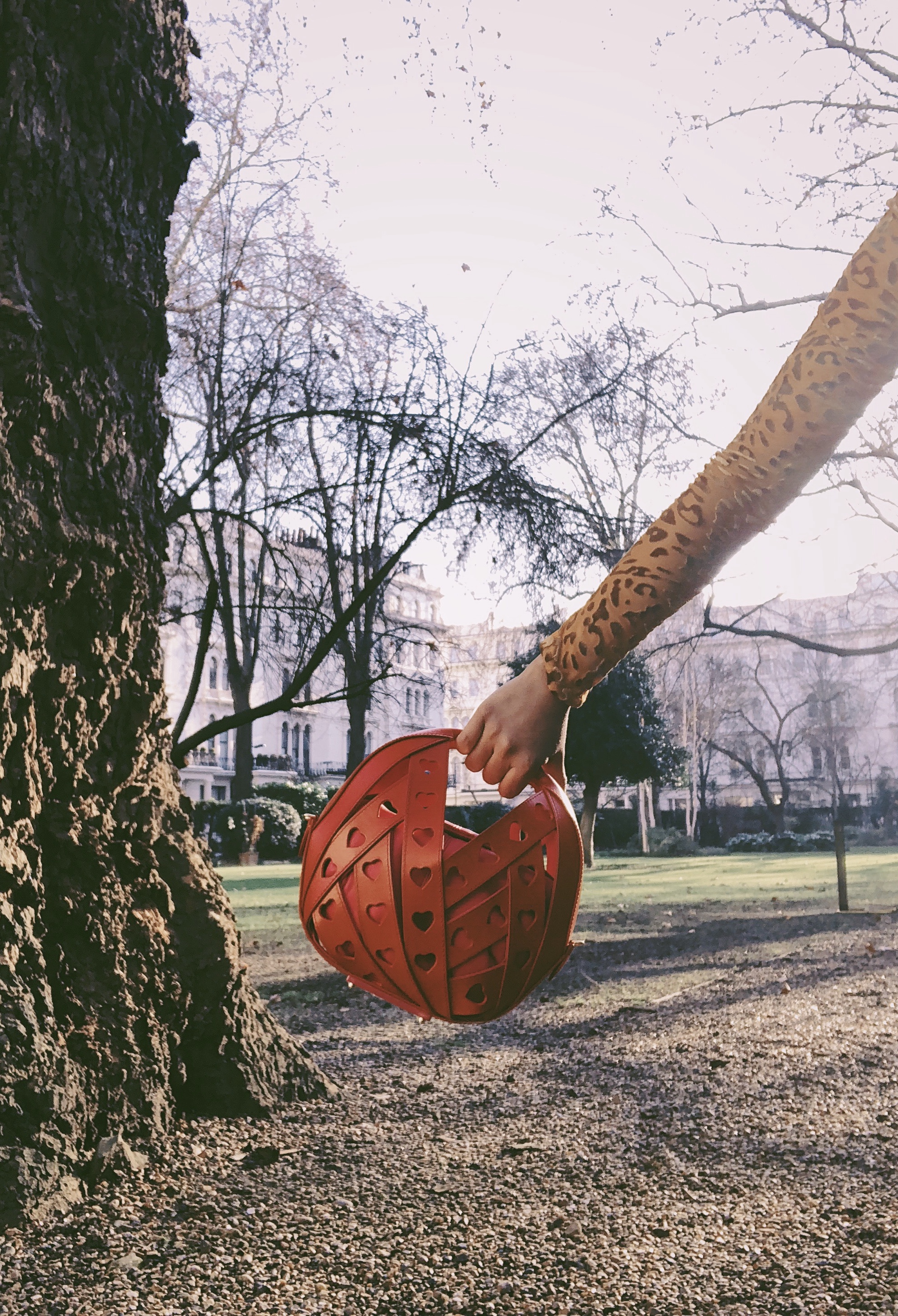 Processed with VSCO with aga3 preset